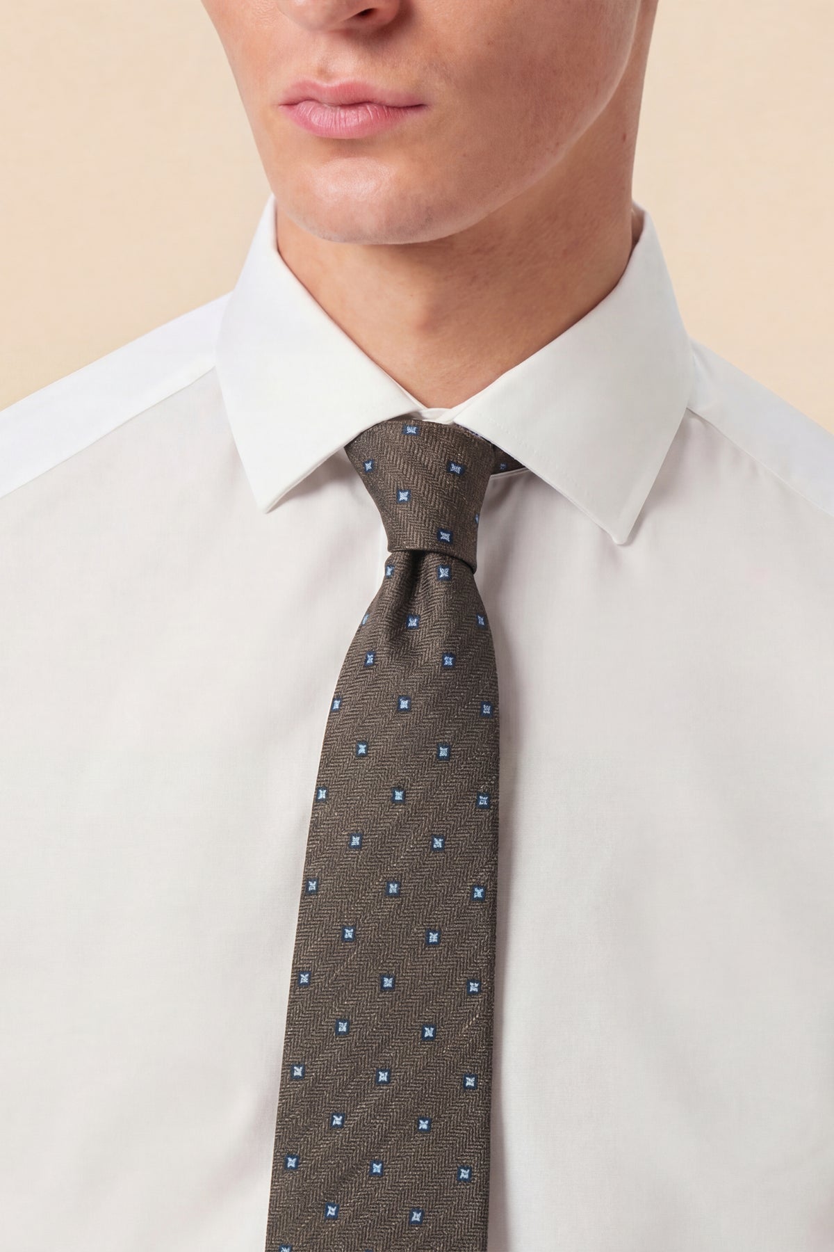 Bella Silk Daisy Brown Tie