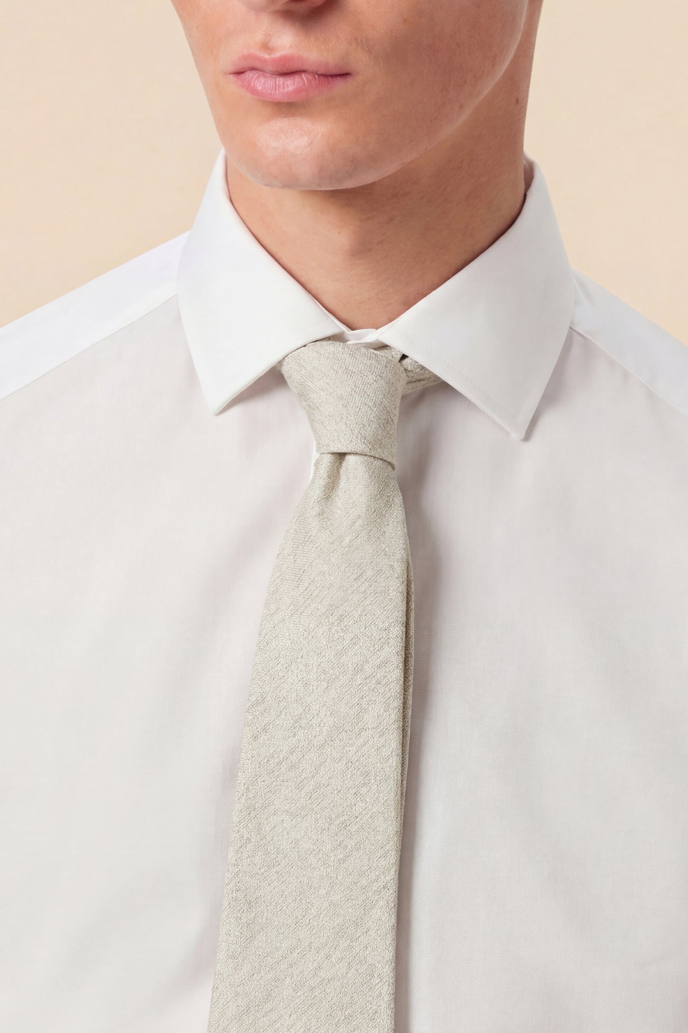 Allegra Silk Texture Champagne Tie